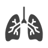 Pulmonology
